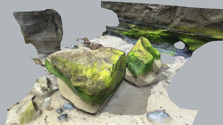 Dream Fuel | Beach Rocks, Moss, and Sand
