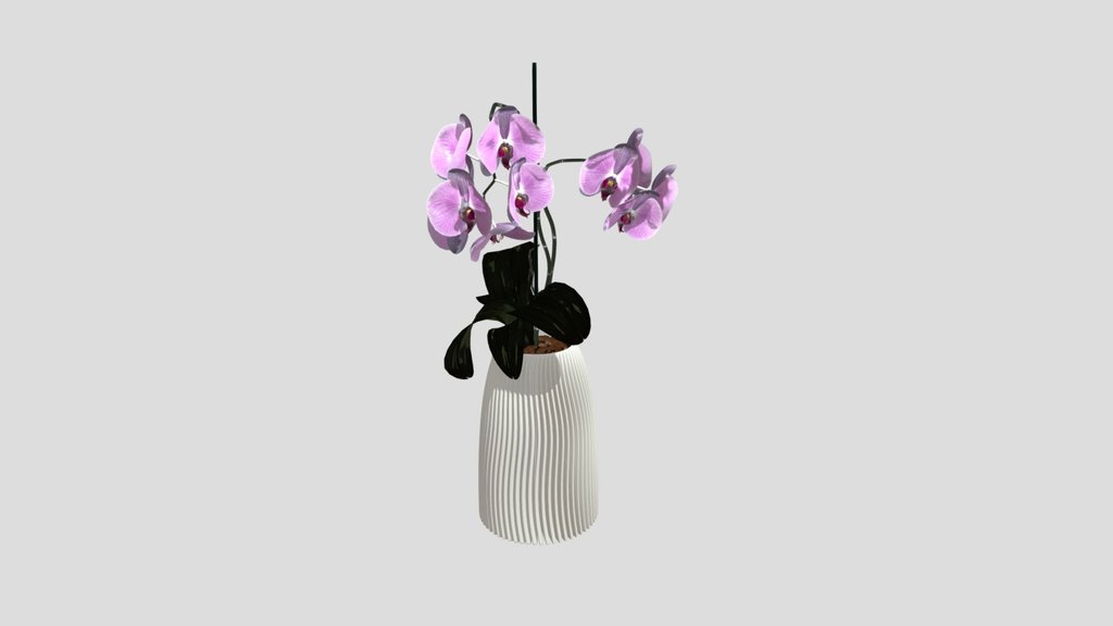 Parabolic Vase