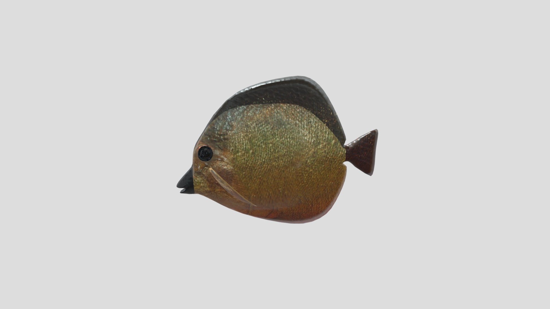 MartinFISH