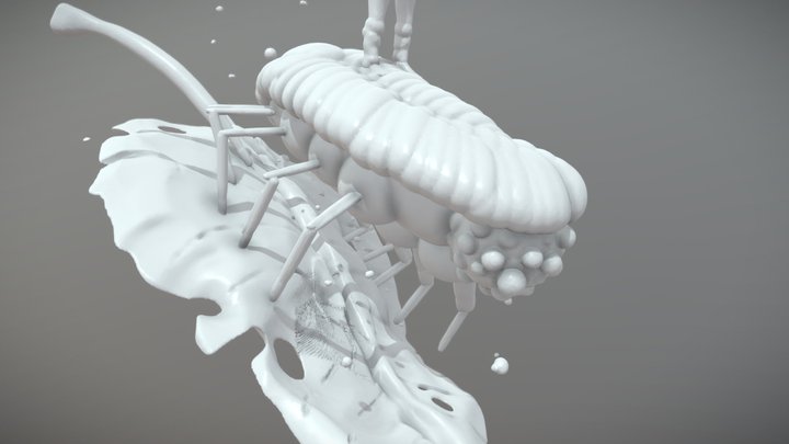Medium_Roi-insecte_ 3D Model