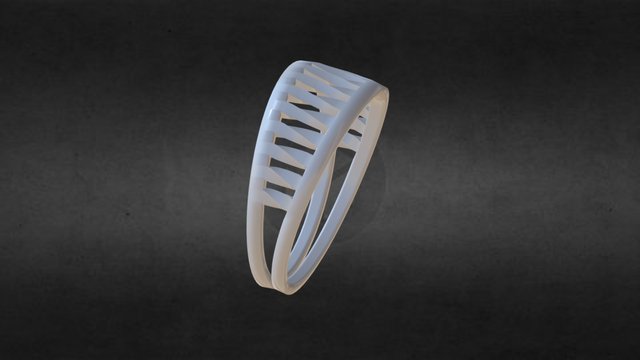 Ring 3D Model