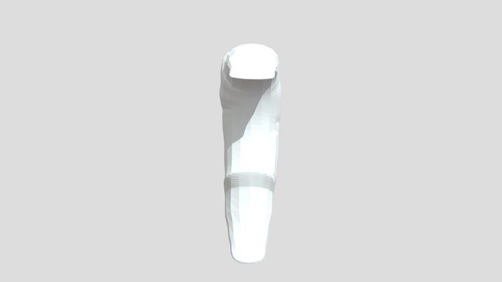 Werewolf Tail 3D Model