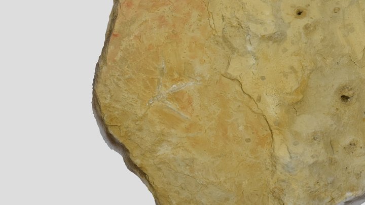 Muestra colección RICARDO – Modello 3D gratuito STL