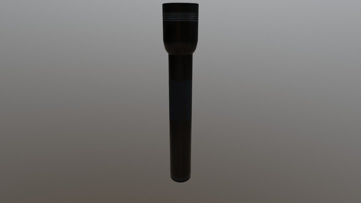 Flash Light 3D Model