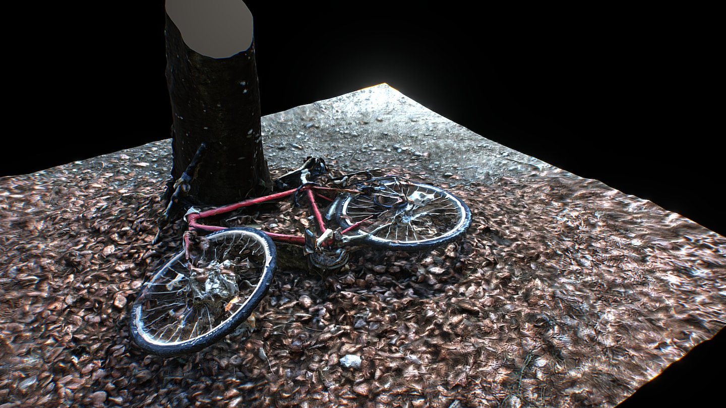 Scanned Abandoned Bike in Forest