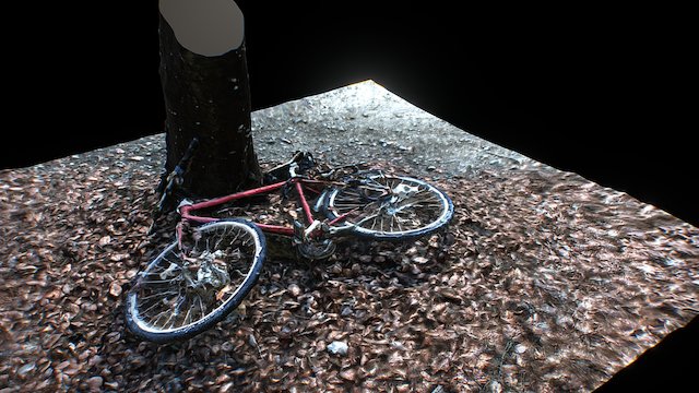 Scanned Abandoned Bike in Forest 3D Model
