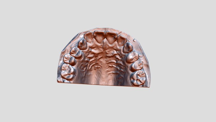 S1 3D Model