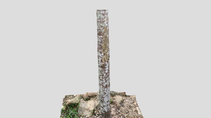 Scan 2023-04-16T12:57:58.012Z 3D Model