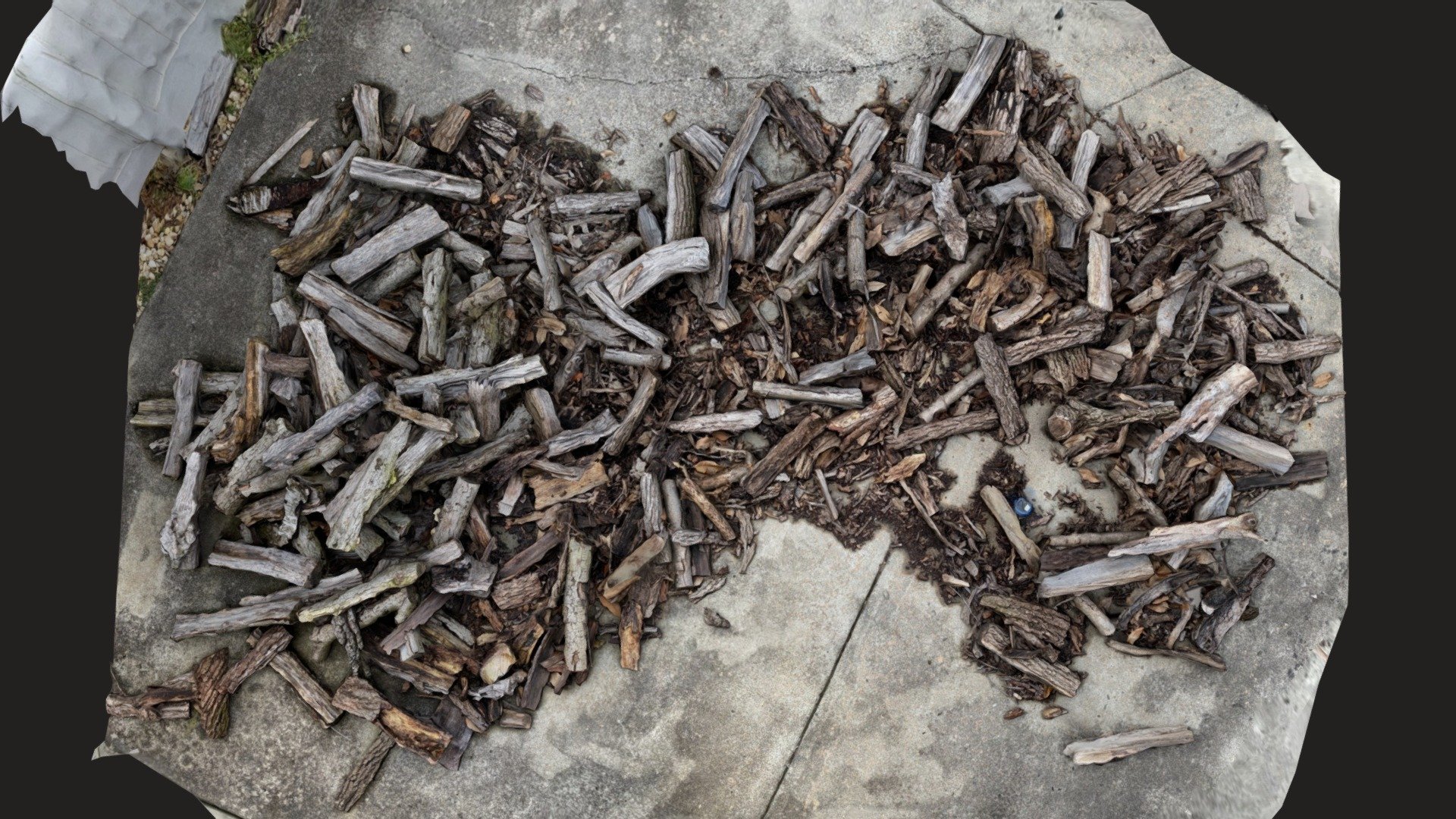 Day 202: Pile of Moist Wood