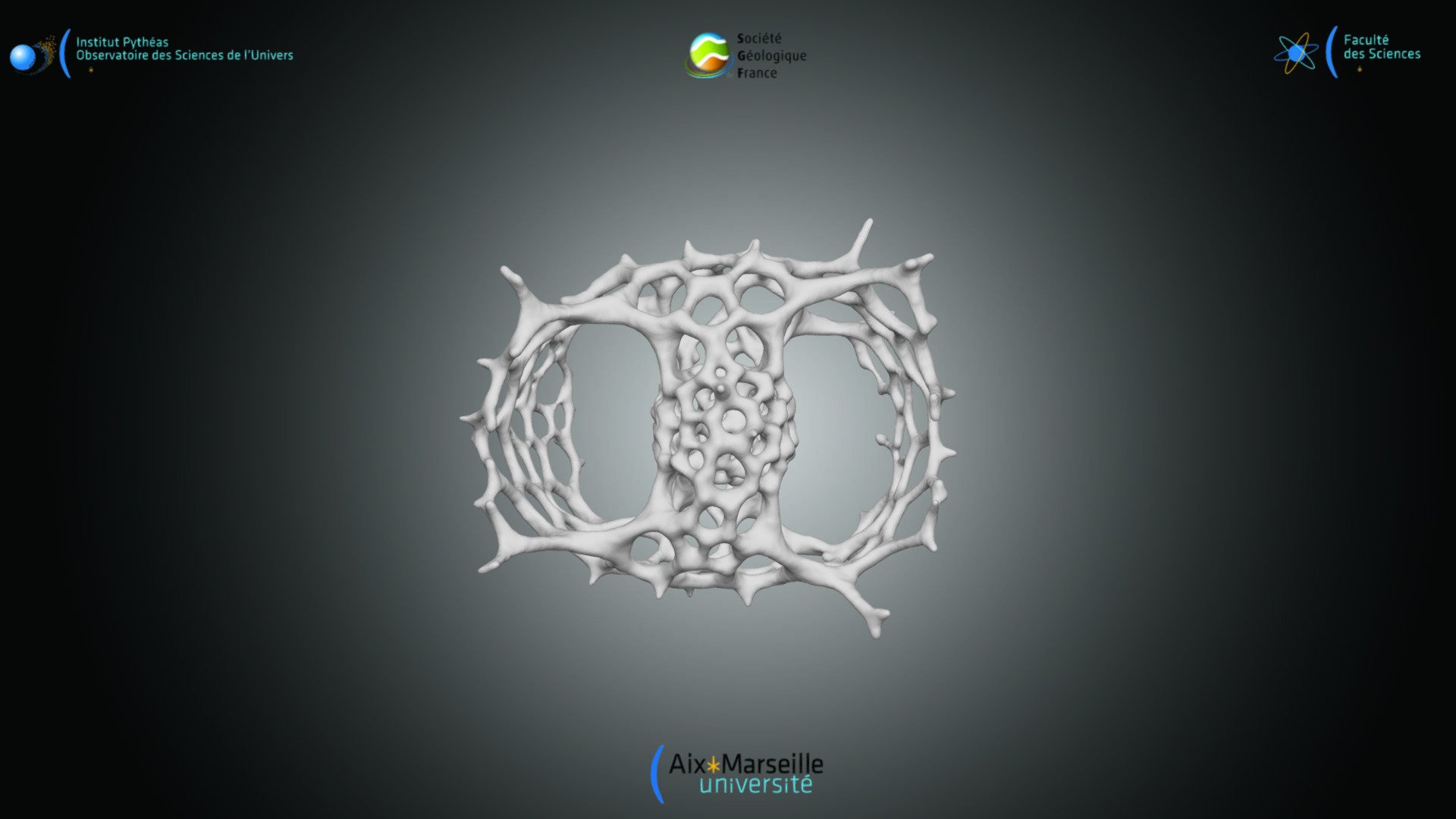 Radiolaria - Tetrapyle octacantha 3