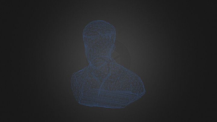 Selfie Reduced 1 3D Model