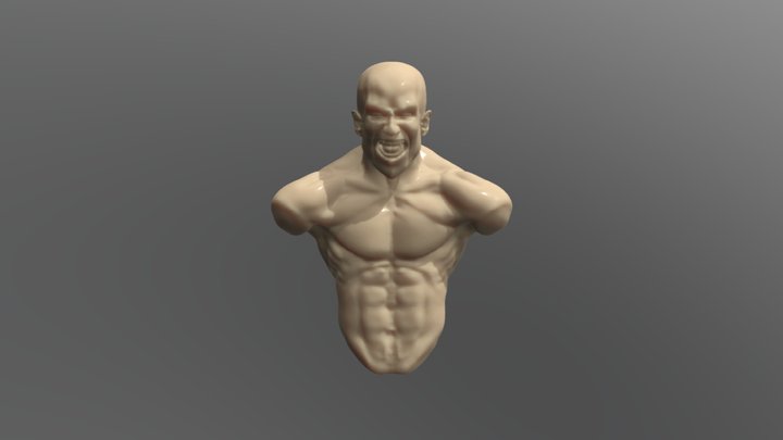 Head 5 3D Model