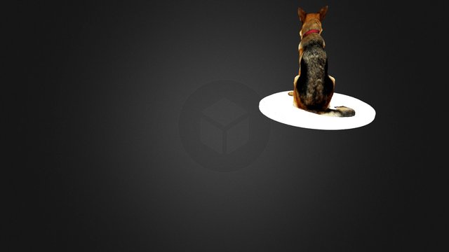 Dog_3Dfigure 3D Model