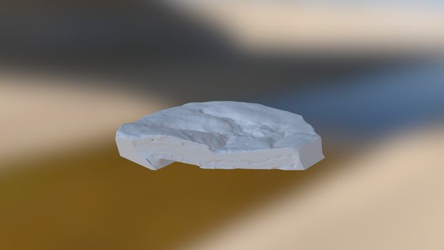 Anchisauripus02 3D Model