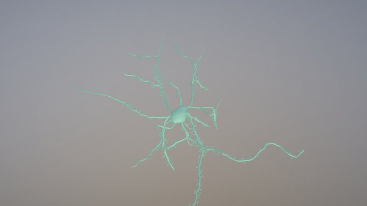 Neuron Reconstruction with Spines 3D Model