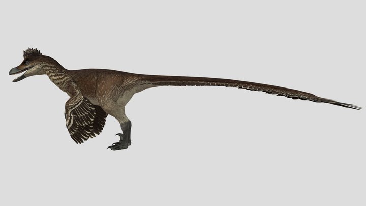 Velociraptor Accurate Rigged (Dust Devil skin) 3D Model