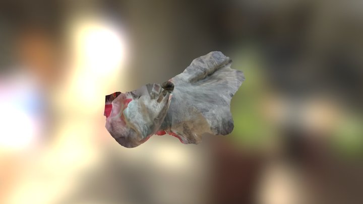 Molerat 3D Model