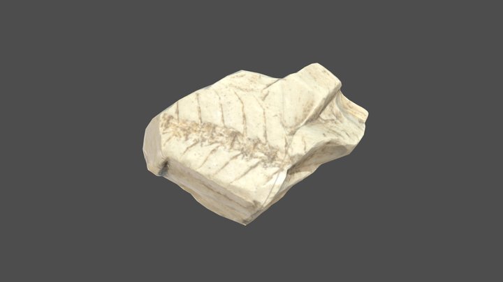 Fossil