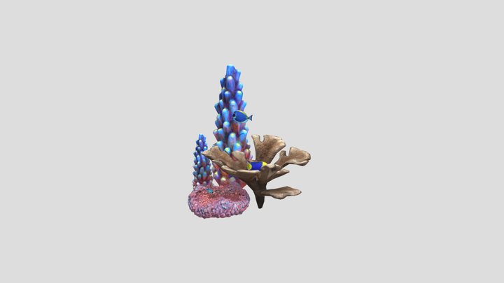 Coral Vervuiling Gezond 3D Model