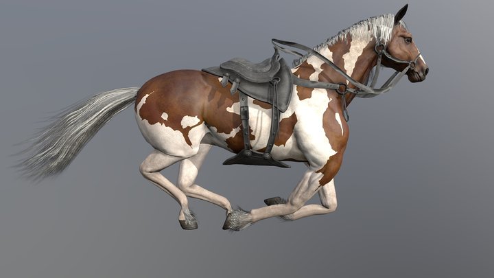 Horse Run cycle 3D Model