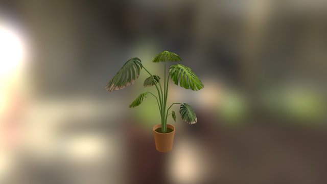 Large Leaf Plant 3D Model