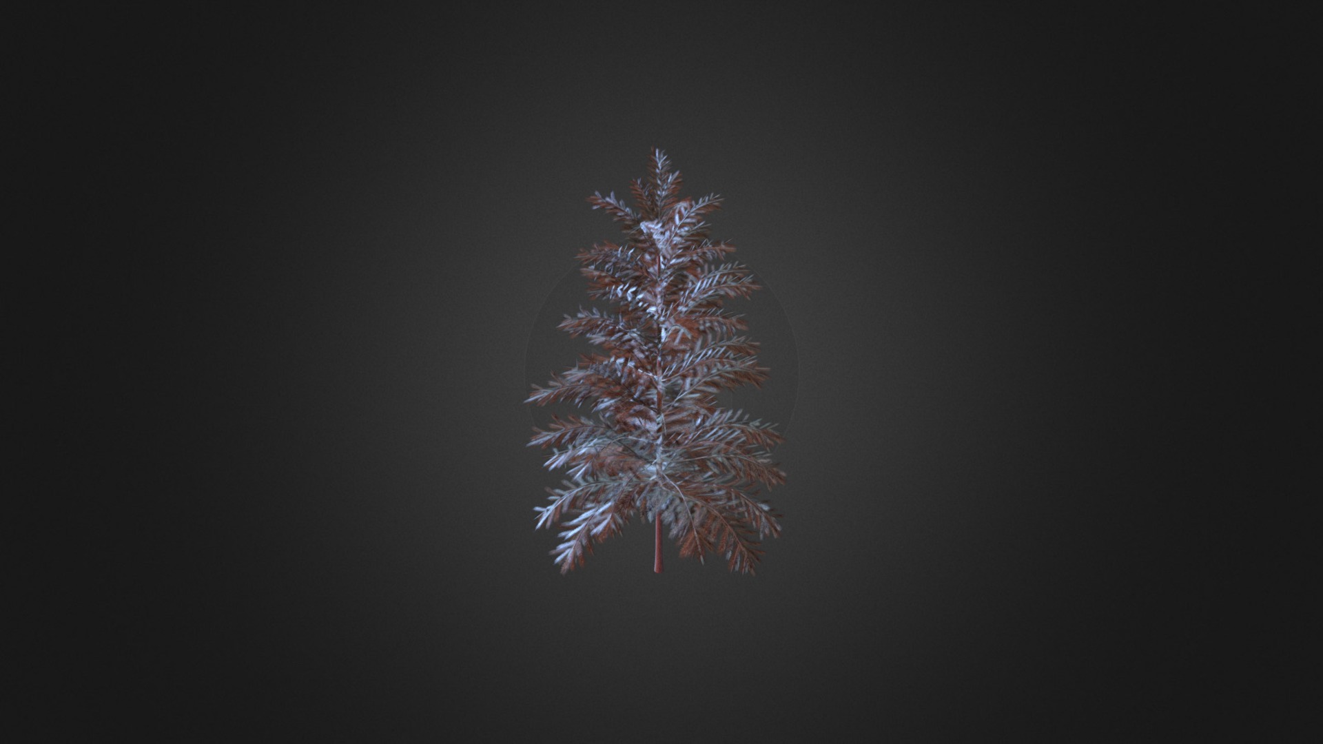3D model Scots Pine 24 - This is a 3D model of the Scots Pine 24. The 3D model is about a tree with lights.