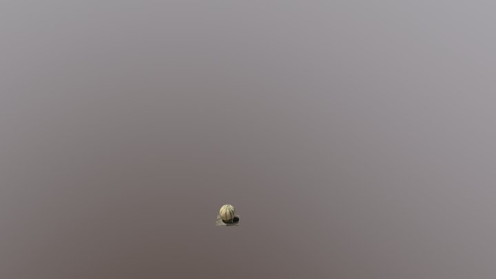 Melon 3D Model