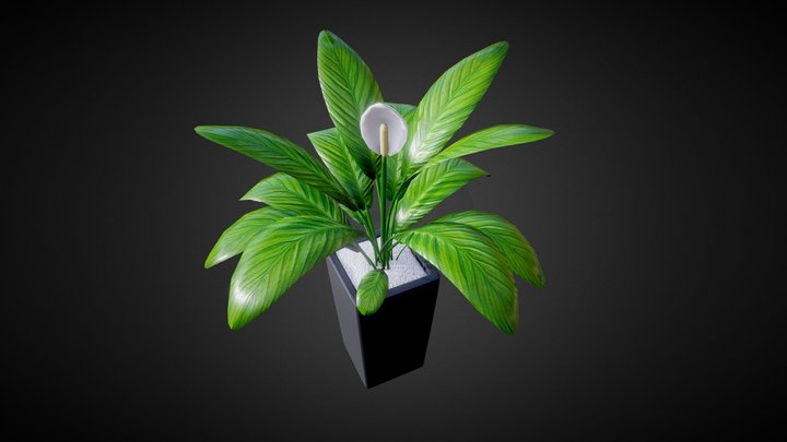 Plants are nice 3D Model