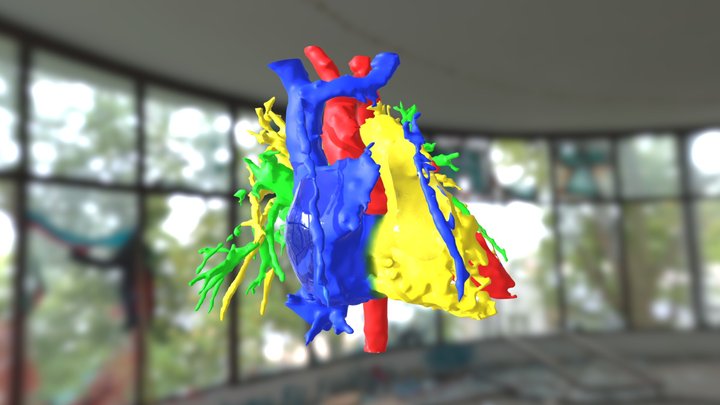 HTTFS con ventanas 3D Model