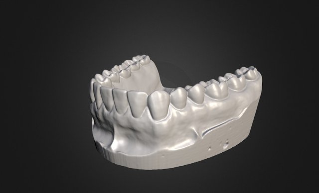 Dental Mold 3D Model