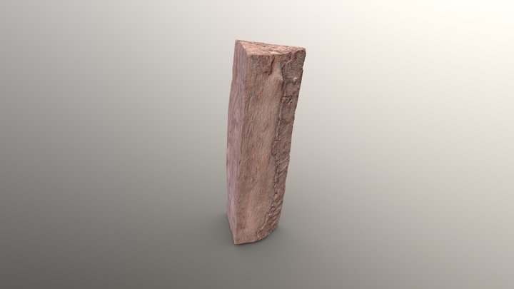 Old Wooden Log Scan 3D Model