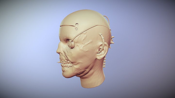 Tech Head - Practice 3D Model