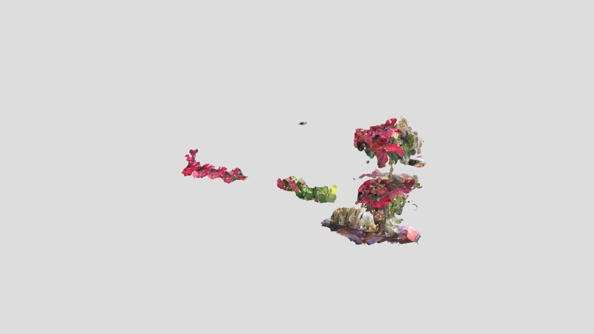Poinsetta Scaniverse-model — Sketchfab embed 3D viewer