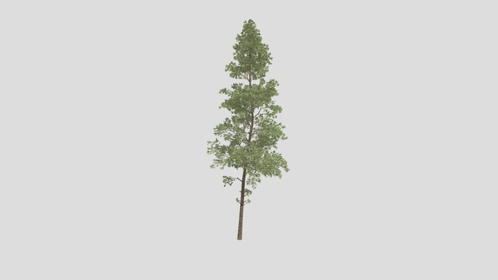 Pine Tree V2 – Gratis 3D-model STL