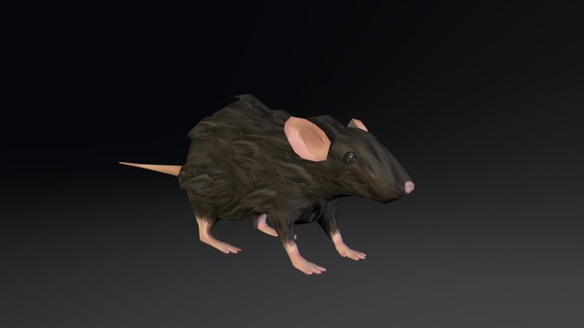 Sewer Rat 3D Model