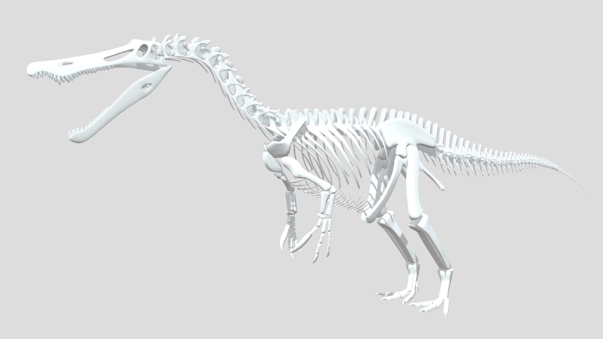 Baryonyx Skeletal Reconstruction - 3D model by Austin Carcharia ...