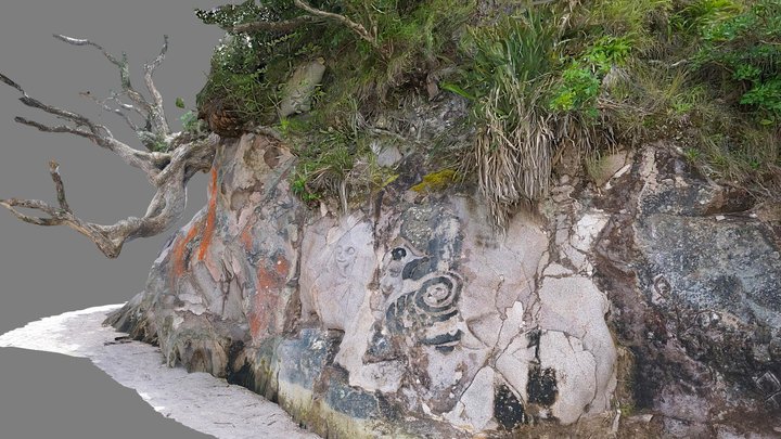 Sea cliff and tree