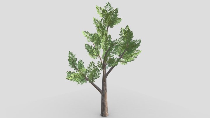 Low Poly Stylized Trees