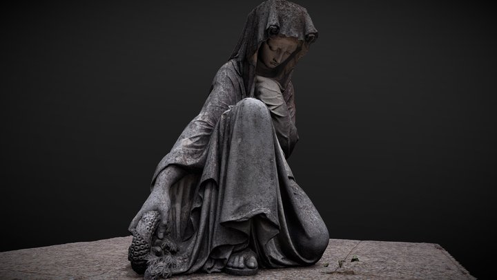 The weeping widow 3D Model