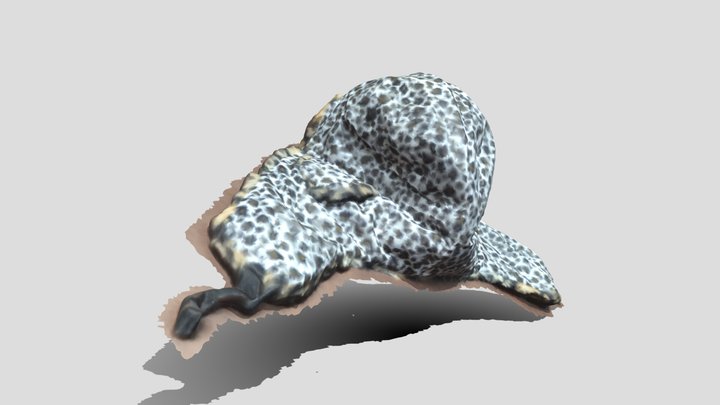 Hat 3D Model