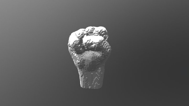 Voxel Fist1mm45deg 3D Model