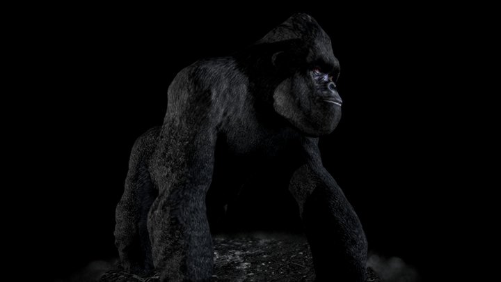 Gorila 3D Model
