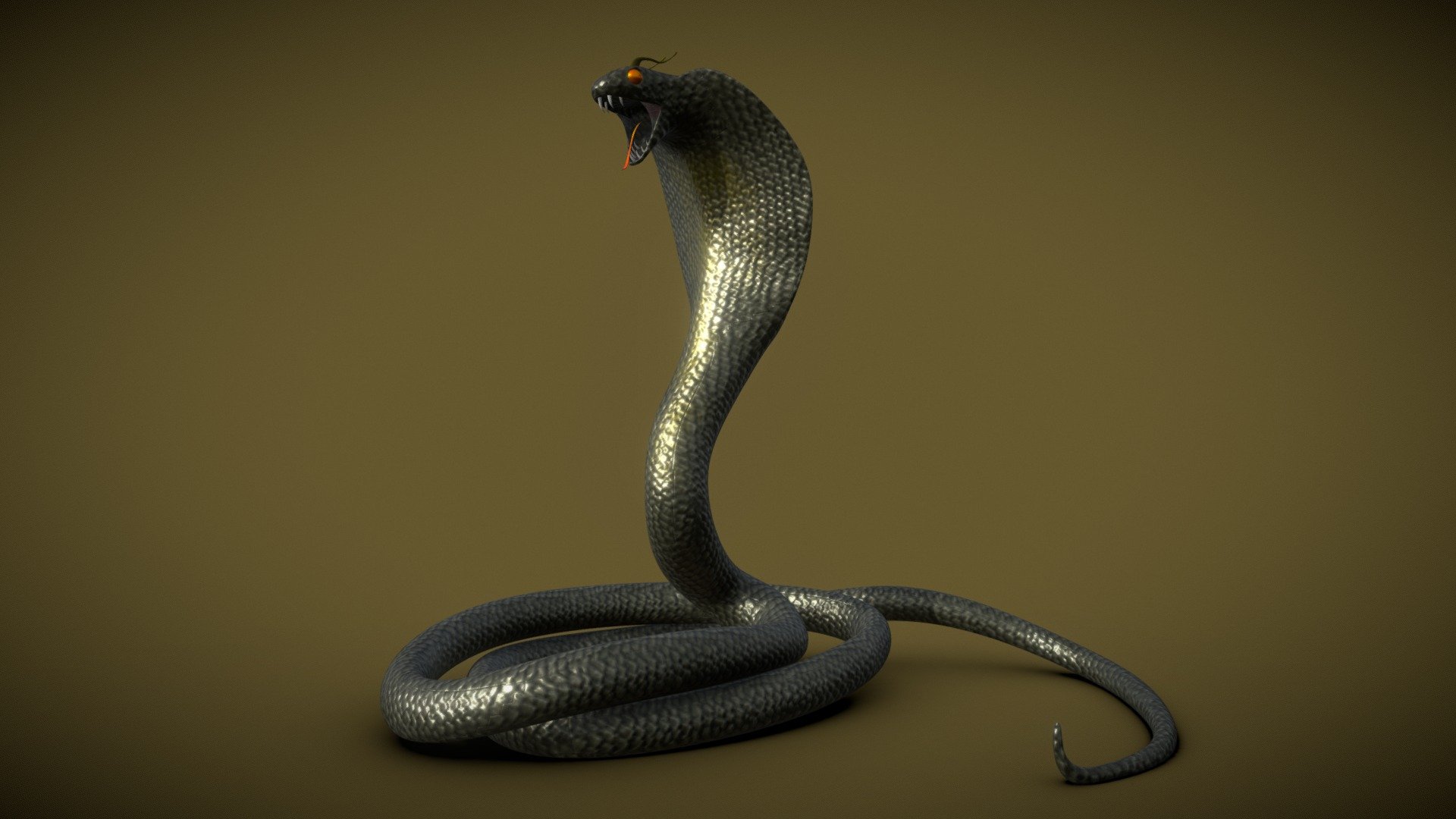 Snakes 3D models - Sketchfab