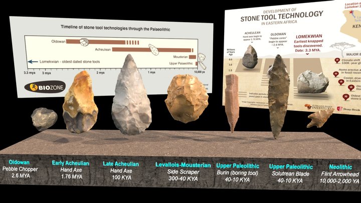 Stone Tool Technologies 3D Model