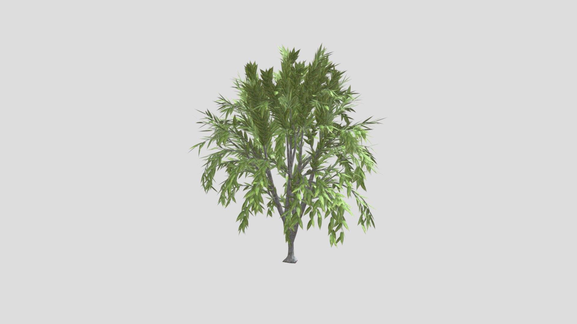 Low Poly Tree
