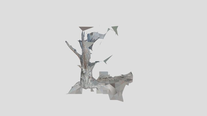 Tree 3D Model