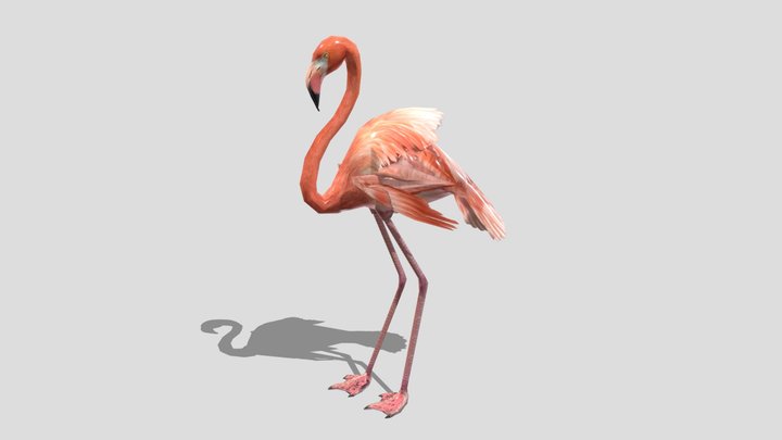 Flamingo – Stylized Animated 3D Model – Modello 3D gratuito STL