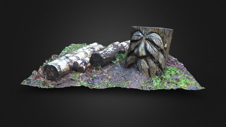 Face Carved Stump and Silver Birch Log Pile 3D Model