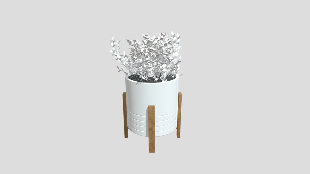 Indoor Plant With White Pot
