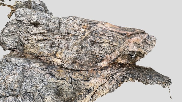 Migmatitic orthogneiss with veins 3D Model